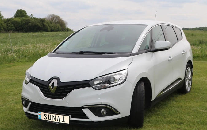 Renault Grand Scenic cena 64300 przebieg: 129801, rok produkcji 2019 z Rydzyna małe 704